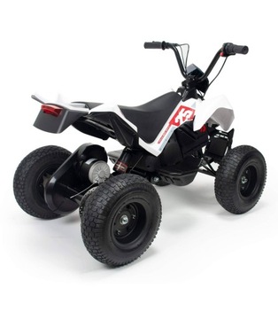 Электрические надувные колеса Quad X-Treme Dirt 24 В Injusa