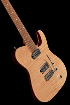 Электрогитара Harley Benton Fusion-T HH Roasted FNT