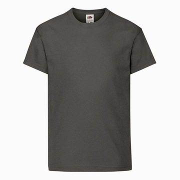 DZIECIĘCA KOSZULKA T-SHIRT FRUIT FC l. graphi. 164