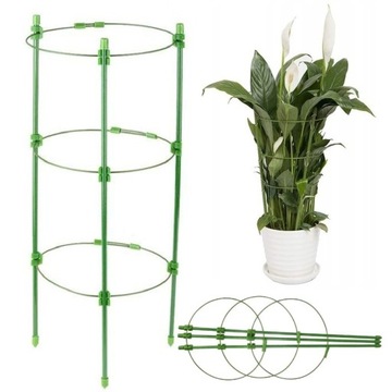 PODPORA PIERŚCIENIOWA ROŚLIN KWIATÓW PODPÓRKA 60cm