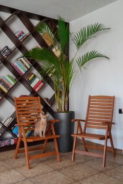 Комплект садовой мебели, раздвижной стол для террасы, обеденный набор на 8 человек.