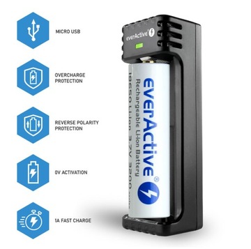 Умное зарядное устройство для лития EverActive LC-100