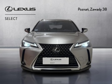 Lexus UX Crossover 200 171KM 2020 Lexus UX 200 Optimum 2WD Lexus UX 200 Optimum, Ben, zdjęcie 5