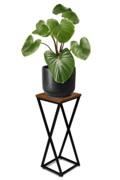 ПОДСТАВКА ДЛЯ ЦВЕТОВ В РУСТИКЕ, ПОДСТАВКА, МЕТАЛЛИЧЕСКАЯ ПОЛКА, ПОДСТАВКА ДЛЯ ЦВЕТОВ, РАСТЕНИЯ, ЛОФТ