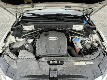 Audi Q5 I SUV 2.0 TDI 143KM 2010 Audi Q5 2.0TDI S-line*Quattro*Czarna podsufitka, zdjęcie 22