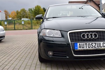 Audi A3 8P Hatchback 3d 2.0 TDI PD 140KM 2004 Audi A3 2.0 TDI , Sportback, Sprowadzony, Jasn..., zdjęcie 34