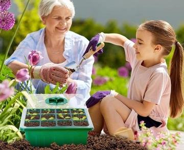 5X СЕМЕНЫ В КОРОБКЕ, ВЫРАЩИВАНИЕ РАСТЕНИЙ, СЕМЕНА ЦВЕТОВ, МИНИ-ТЕПЛИЦЫ, СВЕТОДИОДНЫЕ ЛАМПЫ