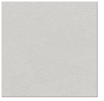 Serwety PAW FLIZELINA SILVER 40x40 CM
