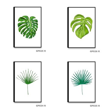 LIŚĆ PALMY Obrazy na płótnie 30x45 Obraz rośliny