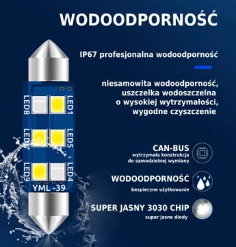 C5W DUAL COLOR — 36 мм — фестон Canbus