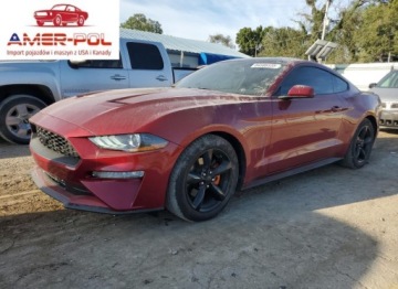 Ford Mustang VI 2019 Ford Mustang 2019 2.3 Benzyna 310KM