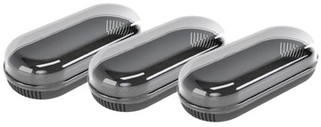 Набор из 3 коробок для проращивания, контейнера для ростков, коробки для проращивания, коробки для проращивания + семена