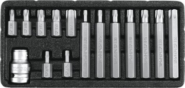 ZESTAW KOŃCÓWEK WKRĘTAKOWYCH TORX SECURITY, T20-T55, 15 CZ.