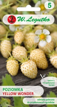 POZIOMKA ŻÓŁTA YELLOW WONDER 0,1G NASIONA ŁADNA