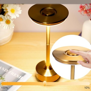 СВЕТОДИОДНАЯ НАСТОЛЬНАЯ НОЧНАЯ ЛАМПА С СЕНСОРНЫМ USB АККУМУЛЯТОРОМ, ПОРТАТИВНАЯ С РЕГУЛИРУЕМОЙ РЕГУЛЯЦИЕЙ