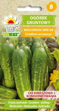 Ogórek Wisconsin SMR 58 Średnio-Wczesny Nasiona 5g