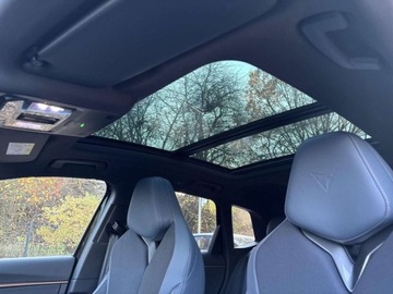 Cupra Terramar SUV 2.0 TSI 265KM 2024 Cupra Terramar Matrix Panorama Hak DCC FV23 Gwarancja 2029r 2.0, zdjęcie 19