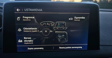 Peugeot 3008 II Crossover 1.5 BlueHDI 130KM 2019 Peugeot 3008 GT-line166936 km AUTOMAT 2019r pelen serwis 1.5 Diesel, zdjęcie 23