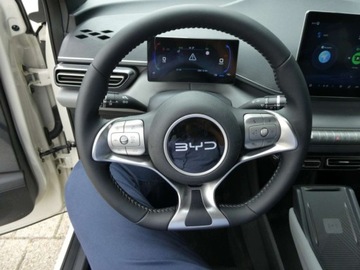 BYD 2025 BYD Dolphin Surf Comfort Hatchback (156 KM) 2025, zdjęcie 8