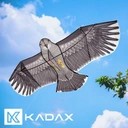 БОЛЬШОЙ ДЕТСКИЙ КАЙТ 180см EAGLE BIRD С ЛЕСНОЙ