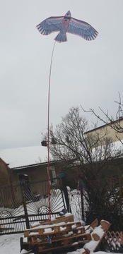Профессиональный отпугиватель птиц KITE falcon EAGLE + 7M MAST + SWIRL