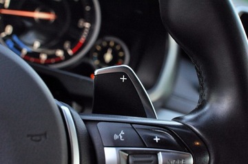 BMW X6 F16 Crossover xDrive30d 258KM 2015 BMW X6 M_Pakiet 30d XDrive HEAD-UP harman/kardon salon PL, zdjęcie 3