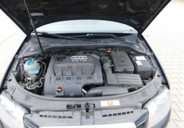 Audi A3 8P Hatchback 3d 2.0 TDI PD 170KM 2007 Audi A3 3-drzwiowe 2.0TDi Quattro Podgrzewane Fotele 2.0 Diesel 170KM, zdjęcie 18