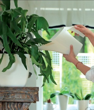 КУВШИН белая лейка 2л.