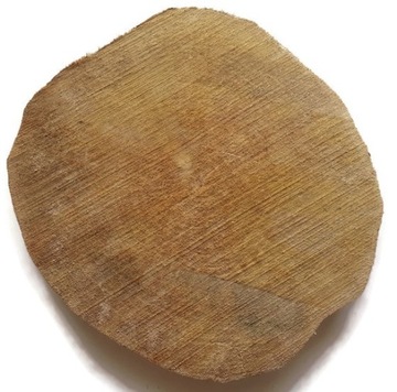 Plastry drewna brzoza bez kory 20-30 cm