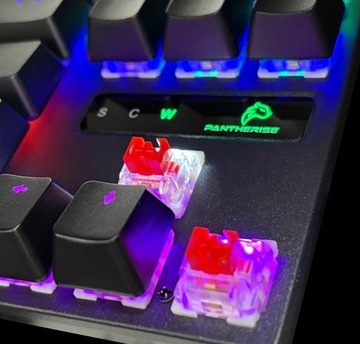 МЕХАНИЧЕСКАЯ ИГРОВАЯ КЛАВИАТУРА PANTHERISE 61 ONYX со светодиодной RGB-подсветкой