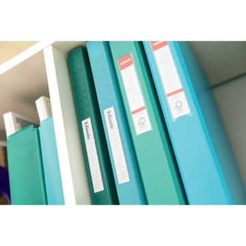 Альбом предложений Esselte Color Breeze, А4, 80 рубашек, зеленый, 626238