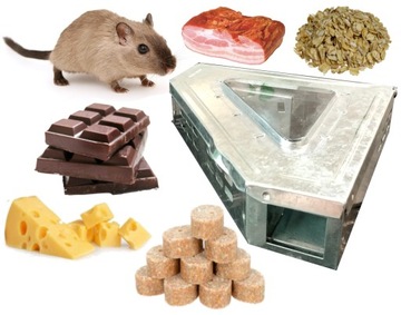 Live Mouse Trap żywoolpan + приманка
