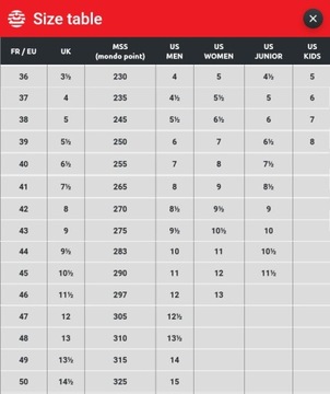Ботинки для роликовых лыж ALPINA R COMBI Summer 47 EU