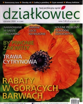 6/2024 Działkowiec - Rabaty w gorących barwach