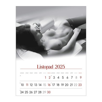 Календарь GIRLS PASSION LUX 13 панелей