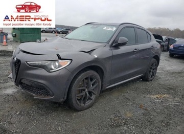 Alfa Romeo Stelvio 2021 Alfa Romeo Stelvio Sport 2021 2.0l 2.0 Benzyna 280KM