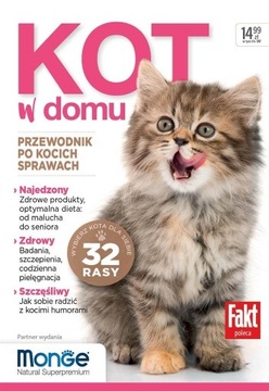 KOT W DOMU PRACA ZBIOROWA KSIĄŻKA