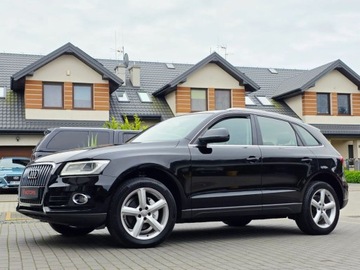 Audi Q5 I SUV Facelifting 2.0 TDI 177KM 2014 Audi Q5 quattro___2.0TDi 150KM___BiXenon LED Navi___Pelna Historia Serwiso, zdjęcie 28