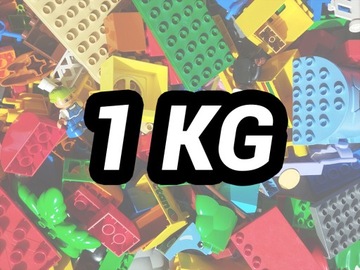 Klocki LEGO Duplo 1 KG Mieszane Mix 1KG