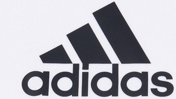 МУЖСКАЯ ФУТБОЛКА ADIDAS ENTRADA 18 ИЗ ДЖЕРСИ, БЕЛАЯ CD8438, размер XL