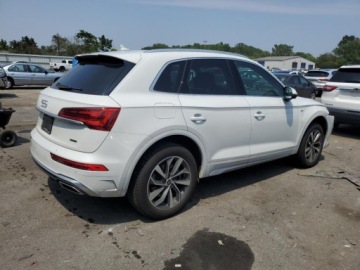 Audi Q5 II 2024 Audi Q5 Premium Plus 2024 2.0L 2.0 Benzyna 261KM, zdjęcie 3