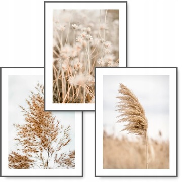 BOHO zestaw 3 obrazy 40x50 NATURA BEŻ plakat #12