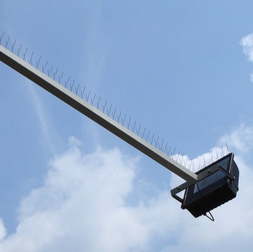 WYSOKIE SZEROKIE I GĘSTE MOCNE KOLCE NA PTAKI GOŁĘBIE | NIERDZEWNE 40x18cm