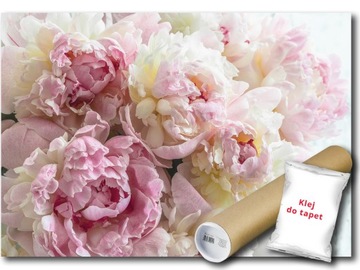 FOTOTAPETA WINYLOWA PEONIE PIWONIE KWIAT 104x70,5