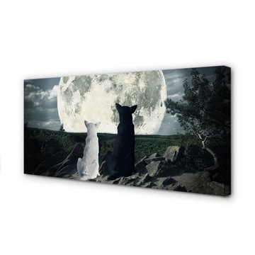 Foto obraz na płótnie Wilki księżyc las 100x50 cm