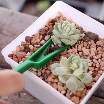 НАБОР ДЛЯ ПОСАДКИ СЕМЕНА ВИЛКА ДЛЯ ПОСАДКИ СЕМЕНА ВИЛКА ДЛЯ ПОСАДКИ