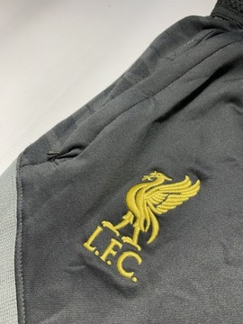 Liverpool FC NIKE oryginalne szare Dresy / rozmiar S