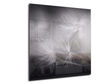 panel szklany między meble dekor 50x55 dmuchawiec