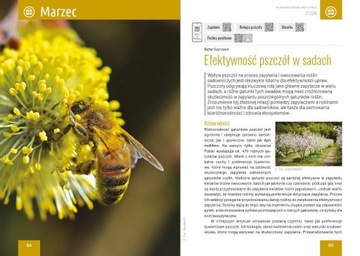 Kalendarz Pszczelarza z Pasją na 2024 r. Nauka plus praktyka