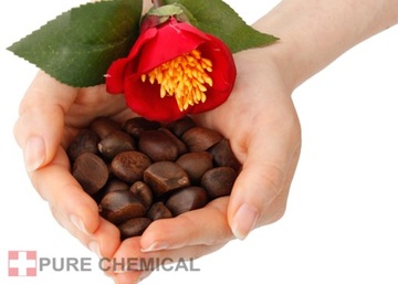 МАСЛО ЦУБАКИ ИЗ ЯПОНСКОЙ КАМЕЛИИ, НЕРАФИНИРОВАННОЕ, ХОЛОДНОГО ОТЖИМА 1л